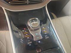 Denza BYD Denza D9 2022 DM-i 1040 Premium - ფოტო 7