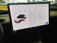 Tesla Model Y Standard Range RWD - ფოტო 13
