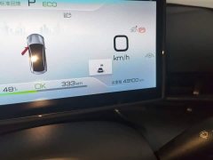 BYD Dolphin Champion Edition 700km Performance Version - ფოტო 12