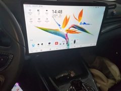 BYD Dolphin Champion Edition 700km Performance Version - ფოტო 13