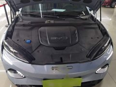 BYD Dolphin Champion Edition 700km Performance Version - ფოტო 20