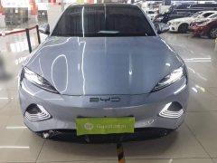 BYD Dolphin Champion Edition 700km Performance Version - ფოტო 3