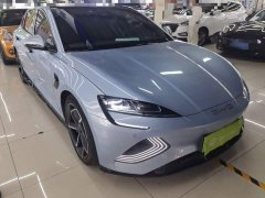 BYD Dolphin Champion Edition 700km Performance Version - ფოტო 4