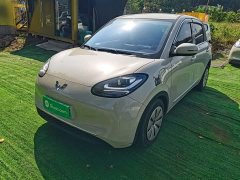 Wuling Binguo 2023 333km Quick Enjoy Edition - ფოტო 2