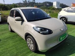 Wuling Binguo 2023 333km Quick Enjoy Edition - ფოტო 4
