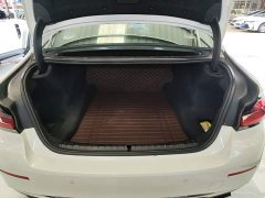 BMW 5 Series Facelift 530Li Leading Edition Luxury Package - ფოტო 19