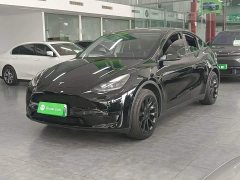 Tesla Model Y Rear-Wheel Drive - ფოტო 1