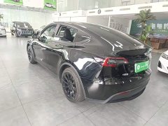 Tesla Model Y Rear-Wheel Drive - ფოტო 5