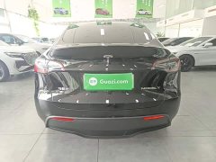 Tesla Model Y Rear-Wheel Drive - ფოტო 6