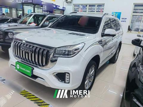 2022 Haval H9 2.0T Gasoline 4WD Premium 5-Seater - автомобиль из Китая