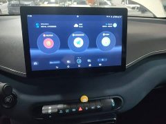 BYD Seagull 2023 Freedom Edition - ფოტო 13