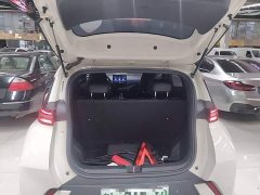 BYD Seagull 2023 Freedom Edition - ფოტო 19