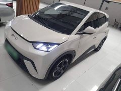 BYD Seagull 2023 Freedom Edition - ფოტო 2