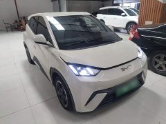 BYD Seagull 2023 Freedom Edition - ფოტო 4