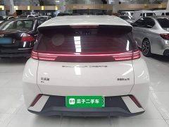 BYD Seagull 2023 Freedom Edition - ფოტო 6