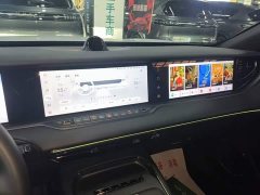 Voyah Lantu FREE 318 259km AWD Explorer Edition - ფოტო 13