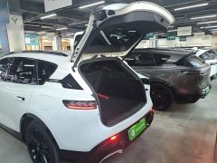 Voyah Lantu FREE 318 259km AWD Explorer Edition - ფოტო 19