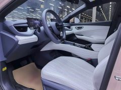BYD Dolphin 06GT 505 Wave Edition - ფოტო 10