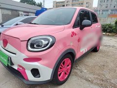 Leapmotor T03 2021 400 Micro Sugar Edition - ფოტო 1