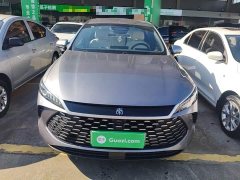 BYD Qin PLUS DM-i Smart Driving Edition 120KM Excellence - ფოტო 3