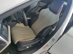BYD Song Plus New Energy 2021 DM-i 51KM Premium Edition - ფოტო 15
