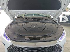 BYD Song Plus New Energy 2021 DM-i 51KM Premium Edition - ფოტო 20