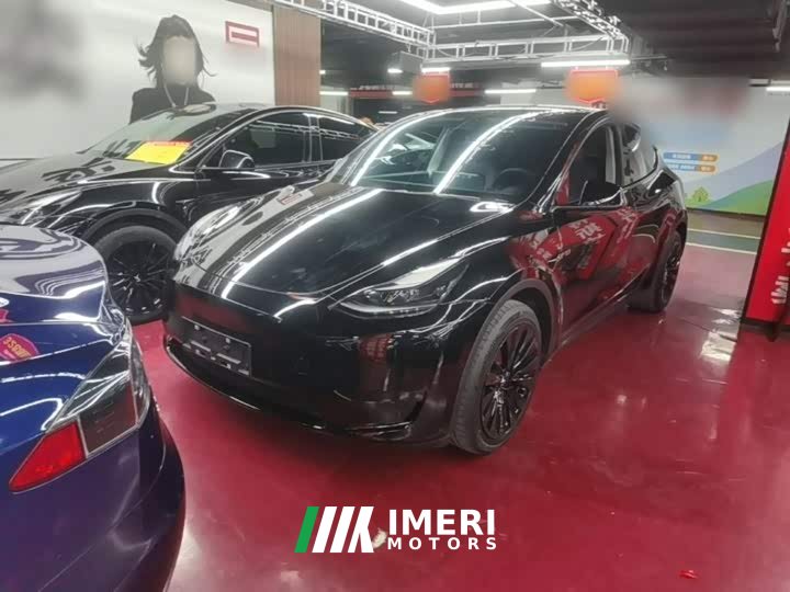 Tesla Model Y Rear-Wheel Drive