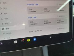 Tesla Model Y Rear-Wheel Drive - ფოტო 12