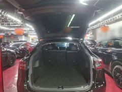 Tesla Model Y Rear-Wheel Drive - ფოტო 19