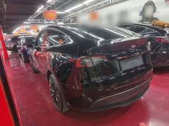 Tesla Model Y Rear-Wheel Drive - ფოტო 5