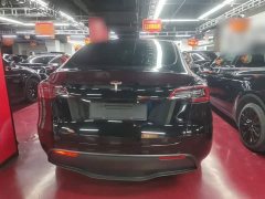 Tesla Model Y Rear-Wheel Drive - ფოტო 6