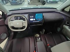 Nio Firefly Luminous Edition - ფოტო 10