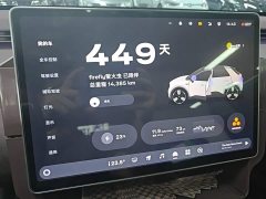 Nio Firefly Luminous Edition - ფოტო 12
