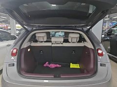 Nio Firefly Luminous Edition - ფოტო 19