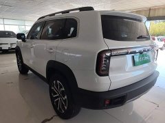 Great Wall Dachshund 1.5T DCT Border Collie Edition - ფოტო 5