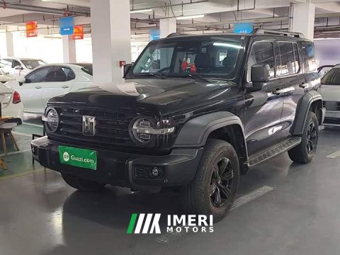 2022 Tank 300 2021 Off-Road Edition 2.0T Conqueror - ავტომობილი ჩინეთიდან