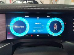 Tank 300 2021 Off-Road Edition 2.0T Conqueror - ფოტო 12
