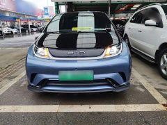 BYD Dolphin 401km Knight Edition - ფოტო 3