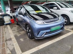 BYD Dolphin 401km Knight Edition - ფოტო 4