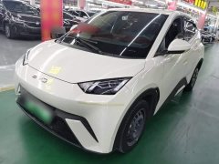 BYD Seagull Glory Edition 305km Vitality Version - ფოტო 2