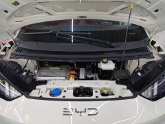 BYD Seagull Glory Edition 305km Vitality Version - ფოტო 20