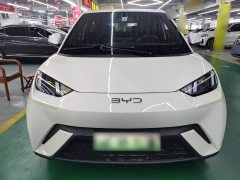 BYD Seagull Glory Edition 305km Vitality Version - ფოტო 3