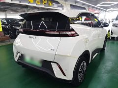 BYD Seagull Glory Edition 305km Vitality Version - ფოტო 7