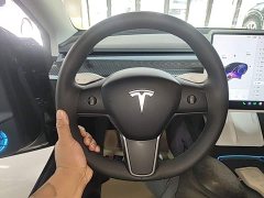 Tesla Model 3 Performance All-Wheel Drive - ფოტო 11