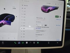 Tesla Model 3 Performance All-Wheel Drive - ფოტო 12