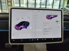 Tesla Model 3 Performance All-Wheel Drive - ფოტო 13