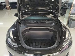 Tesla Model 3 Performance All-Wheel Drive - ფოტო 20