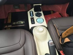Wuling Binguo 2024 203km Light Enjoy Edition - ფოტო 10