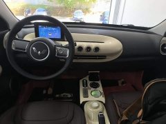 Wuling Binguo 2024 203km Light Enjoy Edition - ფოტო 6