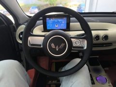 Wuling Binguo 2024 203km Light Enjoy Edition - ფოტო 7